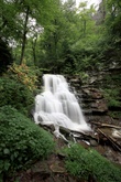 Enlarge photo 17