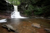 Enlarge photo 23