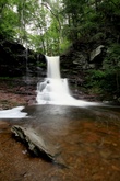 Enlarge photo 24