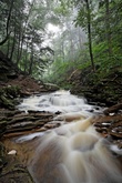 Ricketts Glen - 8/2007