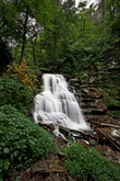 Enlarge photo 17