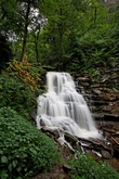 Enlarge photo 20