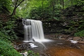 Enlarge photo 21