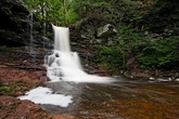 Enlarge photo 22
