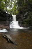 Enlarge photo 24