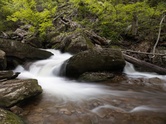 Enlarge photo 6