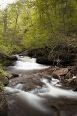 Enlarge photo 16