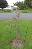 Enlarge photo 3