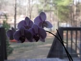 Enlarge photo 17