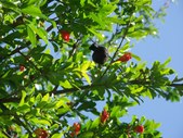 Enlarge photo 14