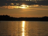 Enlarge photo 36