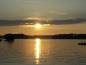 Enlarge photo 37
