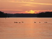 Enlarge photo 39