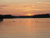 Enlarge photo 40