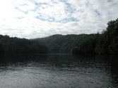 Enlarge photo 114