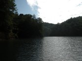 Enlarge photo 113
