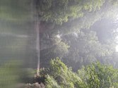 Enlarge photo 111