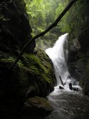 Enlarge photo 110