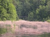 Enlarge photo 103