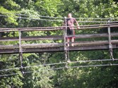 Enlarge photo 102