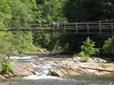 Enlarge photo 96