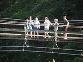 Enlarge photo 81