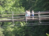 Enlarge photo 77