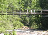 Enlarge photo 76