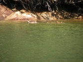 Enlarge photo 68
