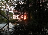 Enlarge photo 120
