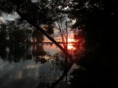 Enlarge photo 119
