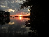 Enlarge photo 118