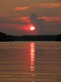 Enlarge photo 124