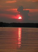 Enlarge photo 122