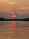 Enlarge photo 121