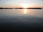 Enlarge photo 145