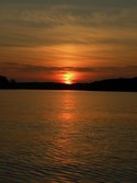 Enlarge photo 142