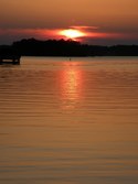 Enlarge photo 146