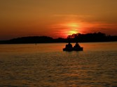 Enlarge photo 159