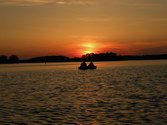 Enlarge photo 158
