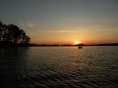Enlarge photo 157