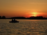 Enlarge photo 154