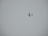 Enlarge photo 181