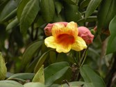 Enlarge photo 170