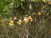 Enlarge photo 168