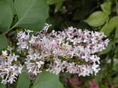 Enlarge photo 166