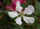 Enlarge photo 164