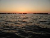 Enlarge photo 184