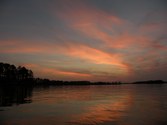 Enlarge photo 194