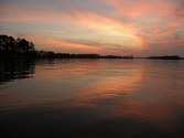 Enlarge photo 193